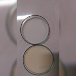 ویسکرهای ژلاتینی