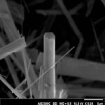 الیاف و ویسکرهای آپاتیتی - تصویر 2