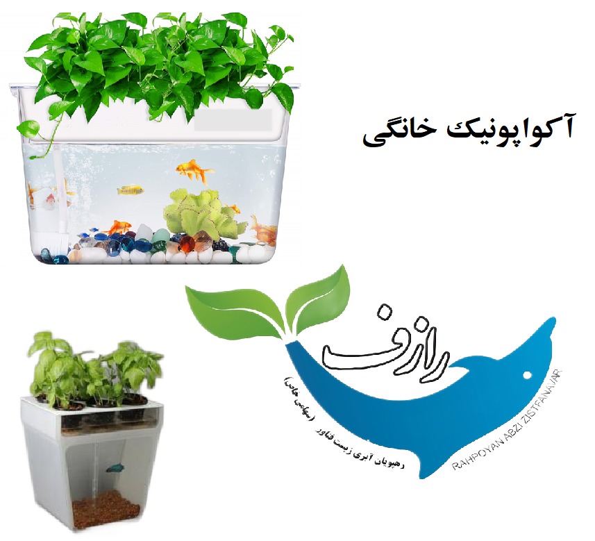 WhatsApp Image 2025-11-13 at 8.07.13 PM آکواپونیک خانگی - تصویر 1